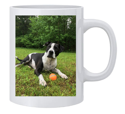 Customized Photo Mug